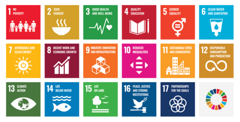 SDG Icons