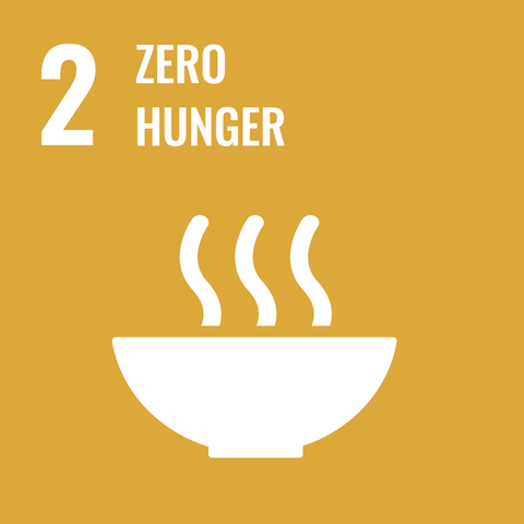 SDG 2 Icon - zero hunger