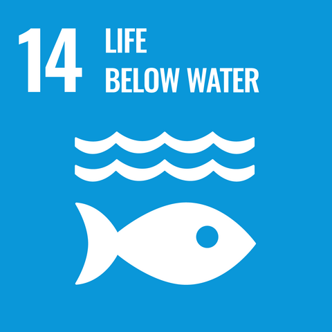 SDG 14 icon - Life below water