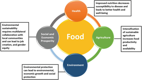 A diagram illustrating the connections between food insecurity and health, environment, agriculture, and socioeconomics.