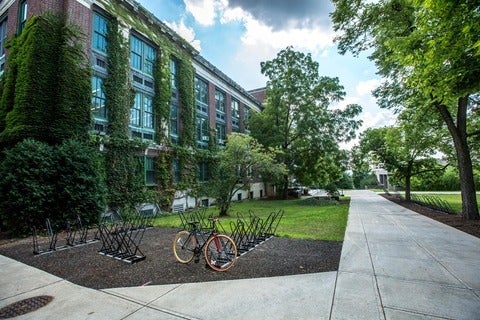 University Campus Grounds