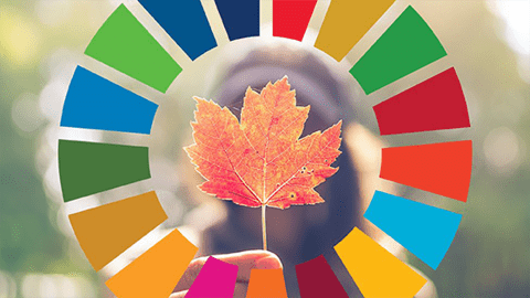 The SDG wheel laid on top a background of a person holding a maple leaf.