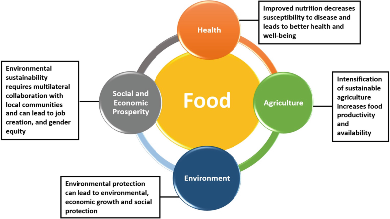 A diagram illustrating the connections between food insecurity and health, environment, agriculture, and socioeconomics.