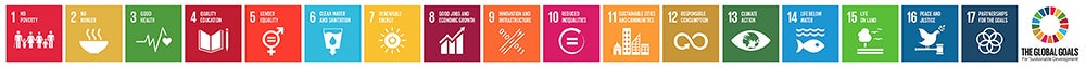global goals icons