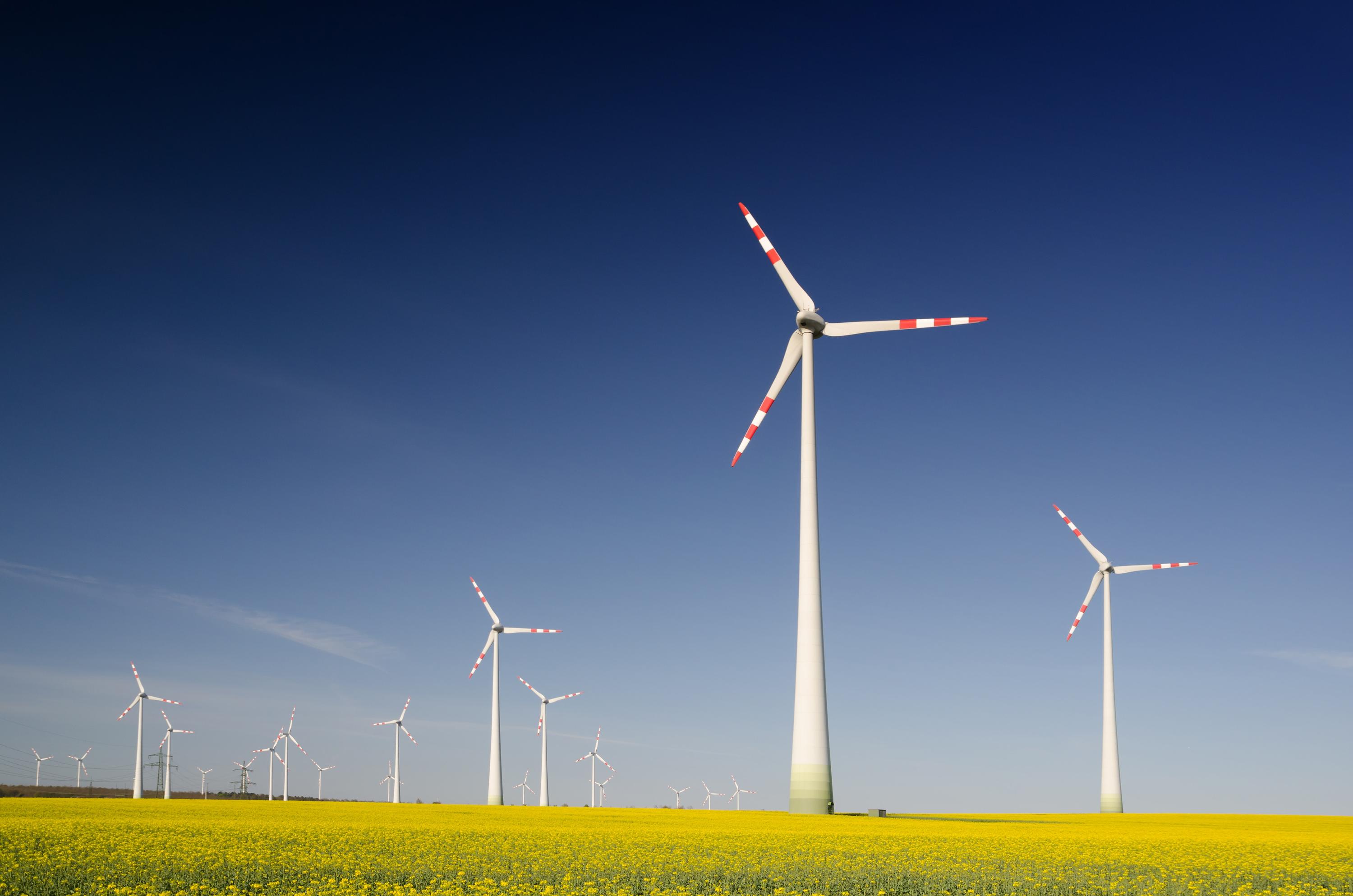 Renewable Energy Wind Power