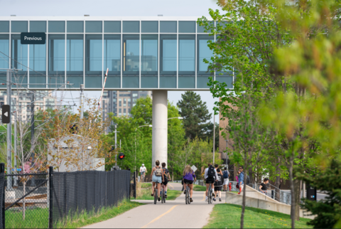 People cycle along the Laurel Trail in summer