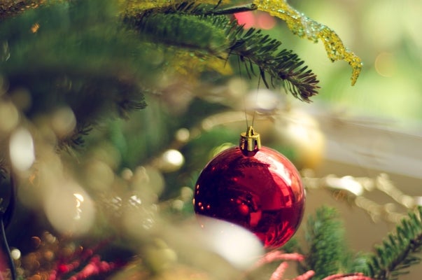 red ornament hanging in tree