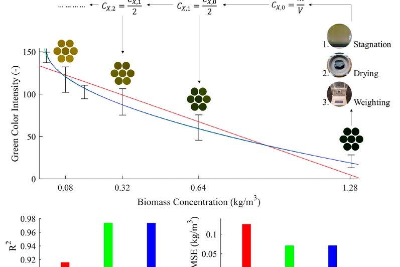 ml-optimization