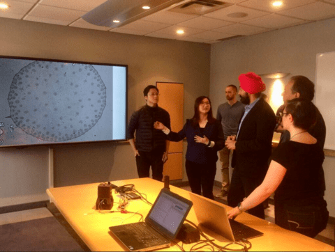 The Federal Minister of Innovation