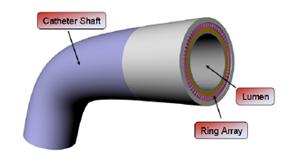 labelled diagram of an ultrasound catheter 