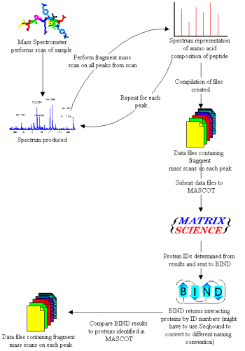 diagram showing the flow of the system