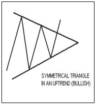 symmetrical traingle in an uptrend (BULLSH)