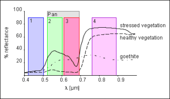 bar graph comparing spectral profile for healthy and stressed vegetation