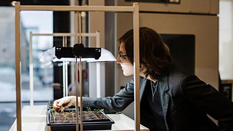 woman looking at seedlings