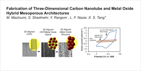 "Fabrication of Three-Dimensional Carbon Nanotube and Metal Oxide Hybrid Mesoporous Architectures"