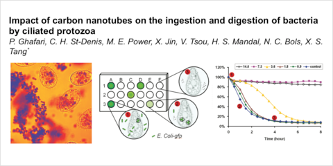 "Impact of Carbon Nanotubes on the Ingestion and Digestion of Bacteria by Ciliated Protozoa"
