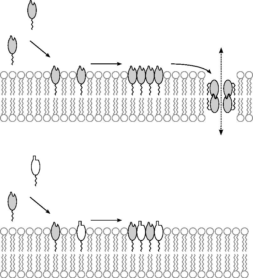 hydrid oligomers