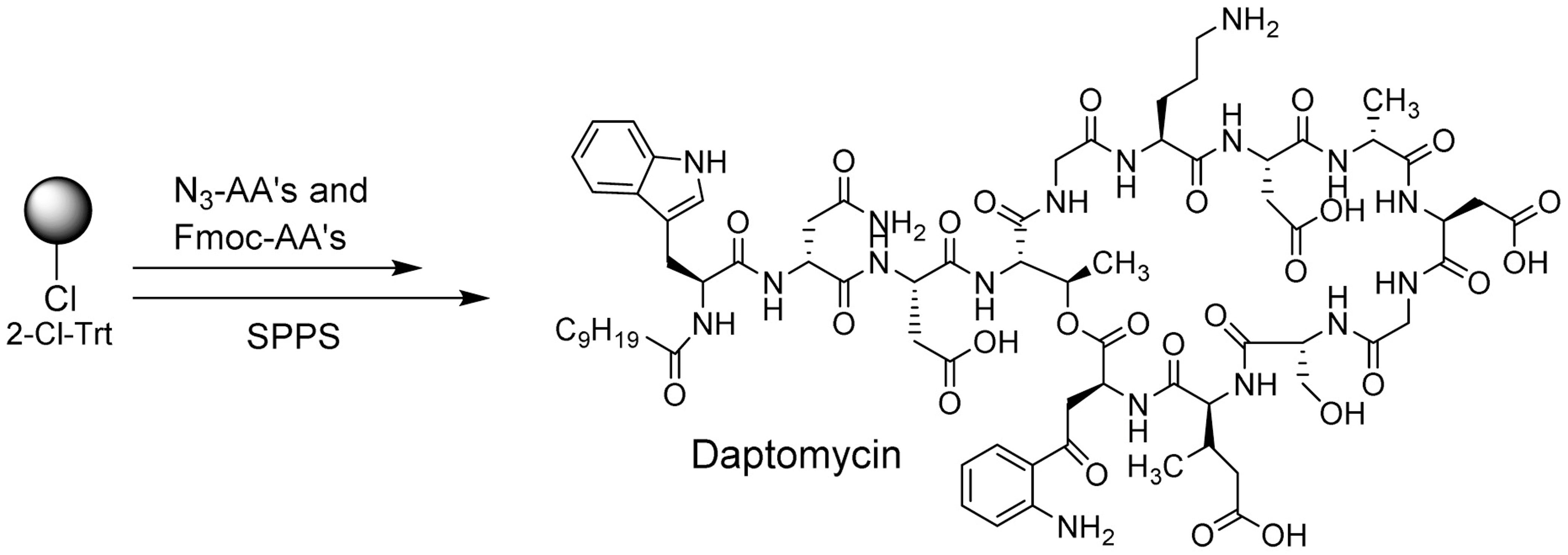 dap synthesis