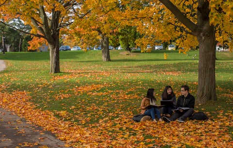 image of students sitting under tree at UW in the fall
