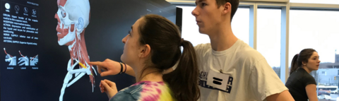 Two students look at a diagram illustrating human anatomy, on a digital screen