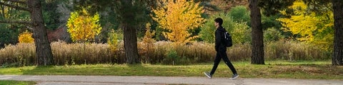 Student walking on Ring Road in front of some coniferous trees