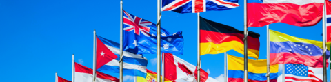 Assorted flags from different countries flying on flag poles