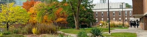 Campus fall scene with three students walking