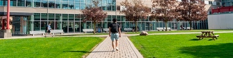 Person walking along a path toward the Davis Centre in the spring