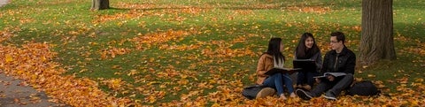 Three students sitting under a tree in the fall