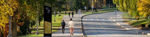 Students walking along Ring Road on east campus