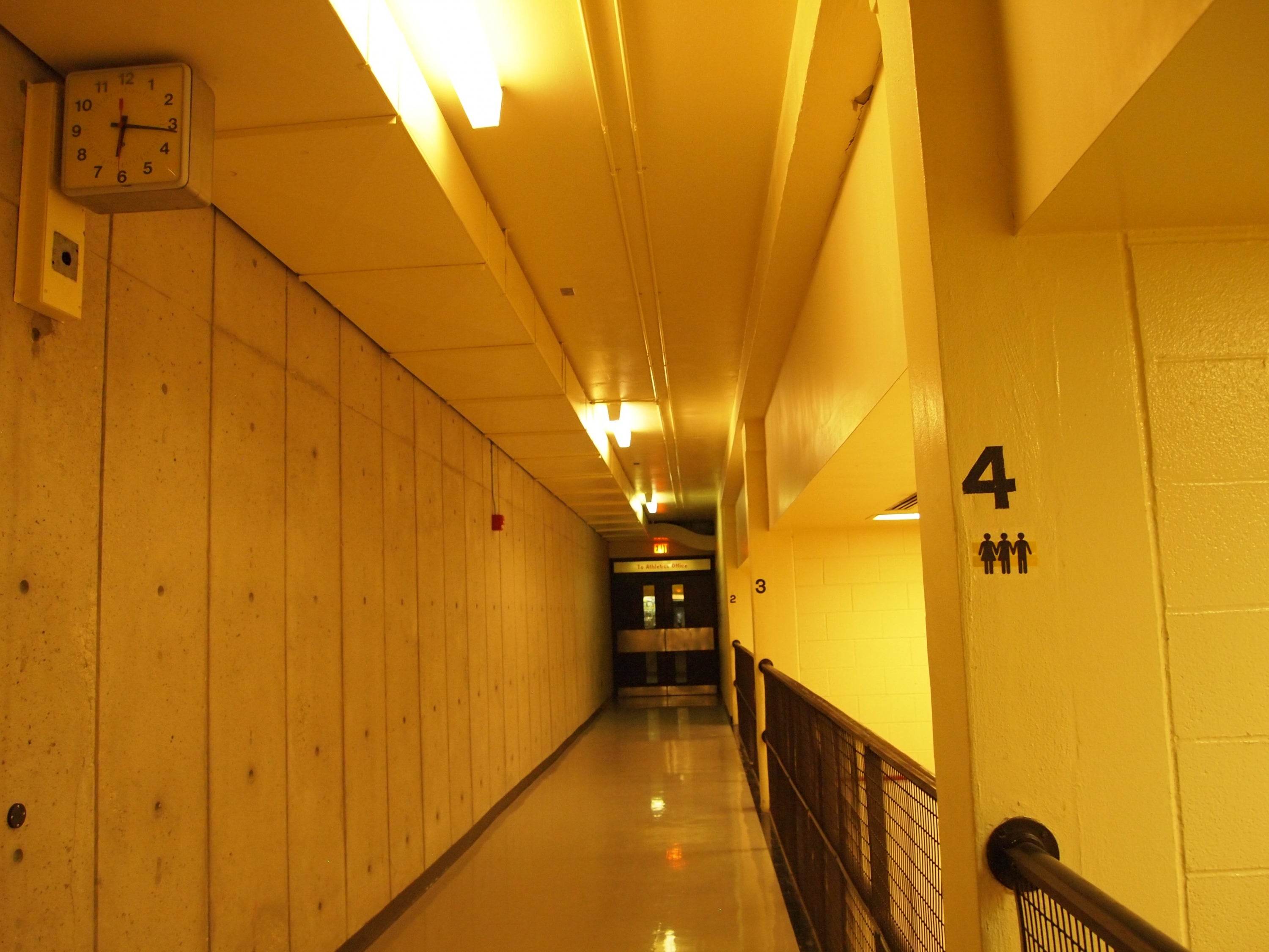 Vinyl decal on wall in hallway