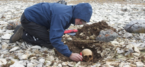 Douglas Stenton excavating human skull