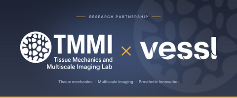 Vessl Collab