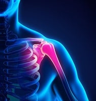 shoulder