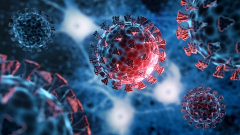 a digital illustration of a COVID-19 virus