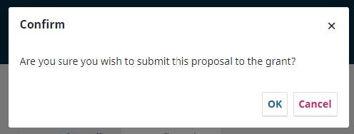 Confirm proposal submission screen