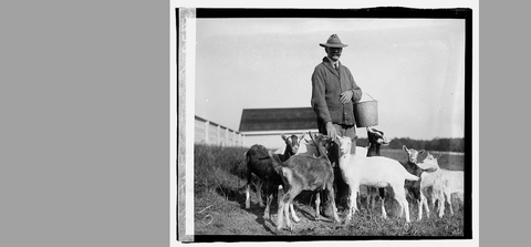 Male farmer with goats