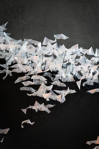 white paper cranes on black background by Jonas Tebbe, Unp