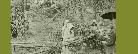 Hops harvest in Wisconsin, ca 1890
