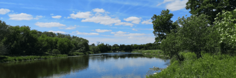 Grand River in summer