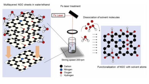 Selective Sensing of Heavy Metal Ions via Fluorescence Quenching of Femtosecond-Laser-Synthesized 2D Nanoparticles