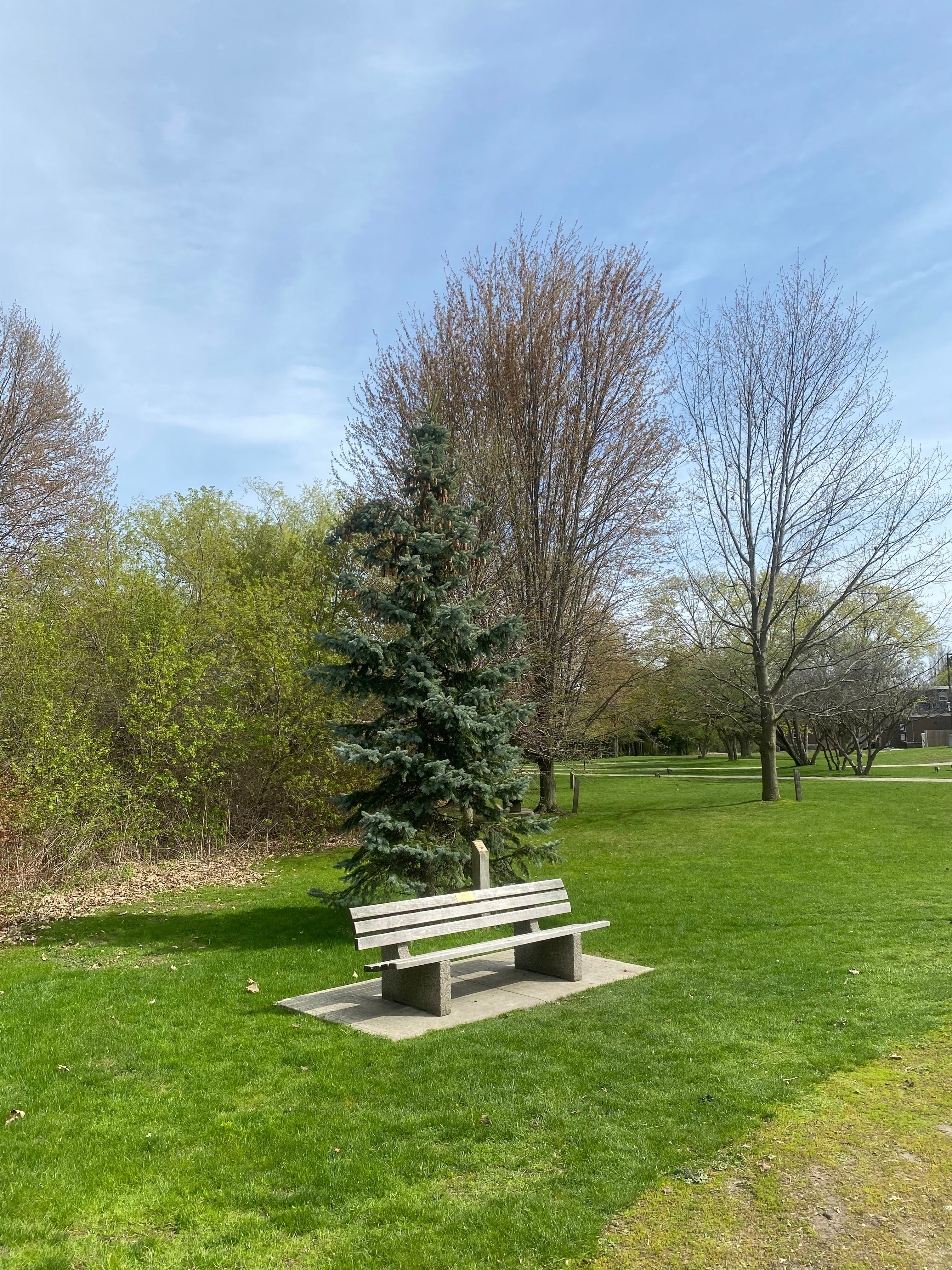 memorial bench for alex foto 