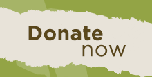 Donate now call to action button