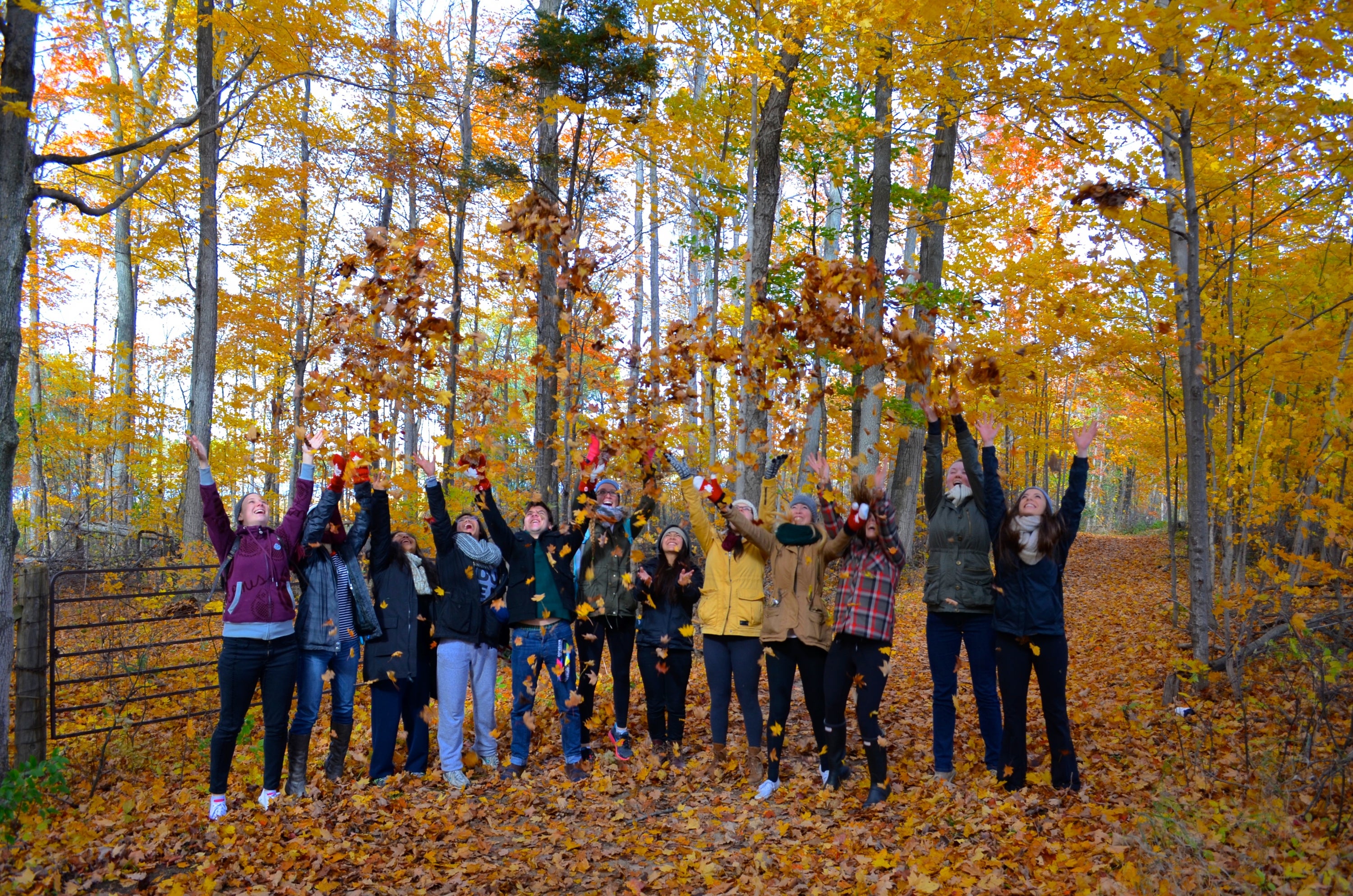 Students in wooded area throw fallen leaves over their heads