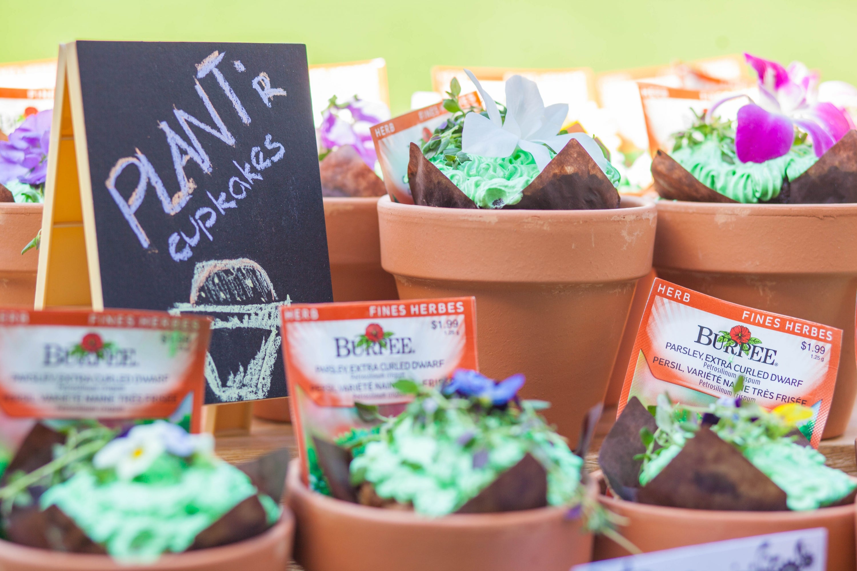 cupcakes and seedling displays