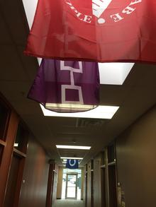 WISC Flags