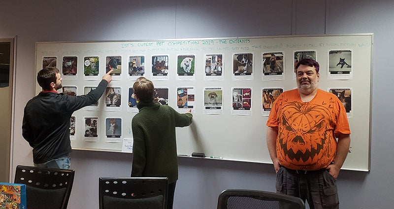 Staff look at a wall of photos of pets