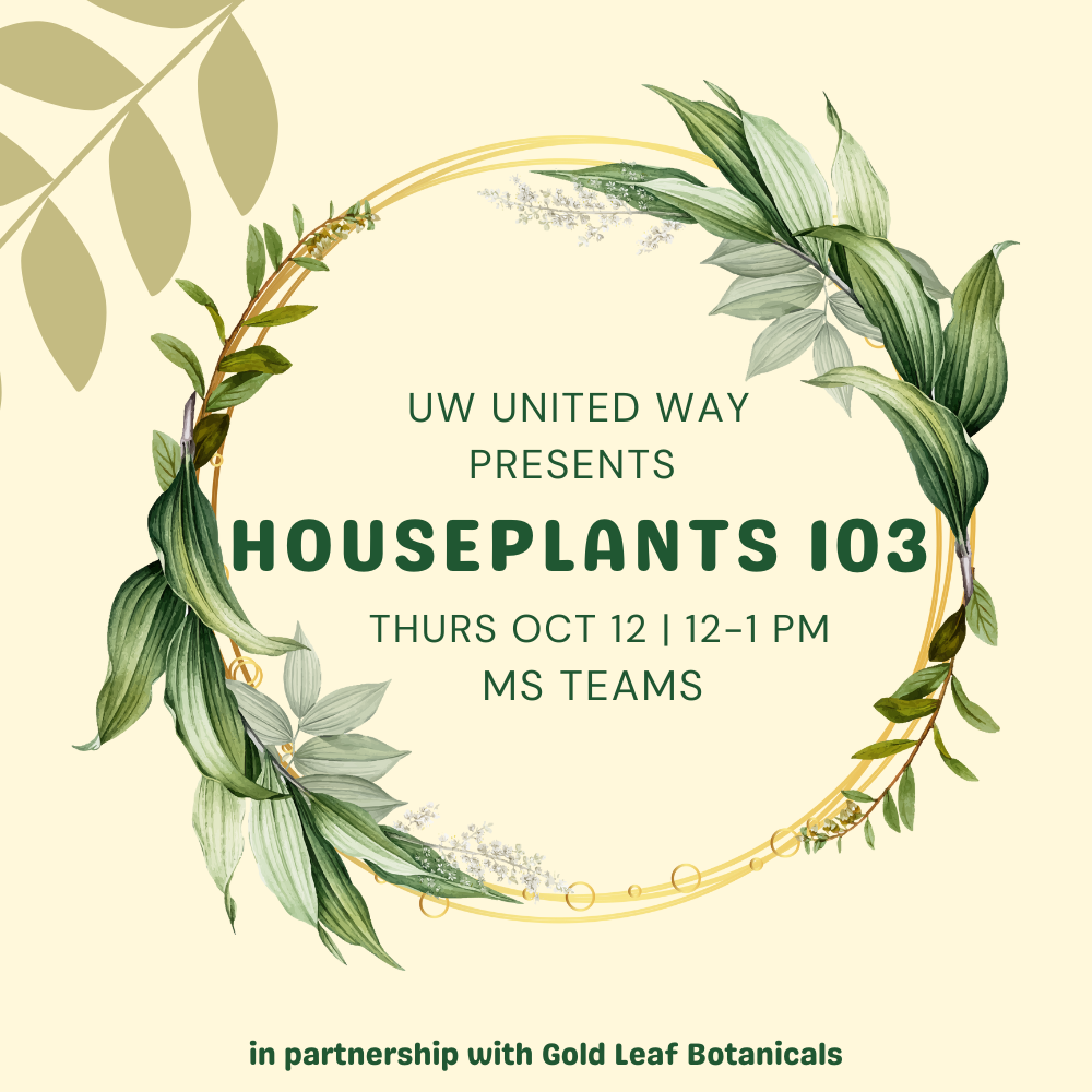 Houseplants 103 promo image