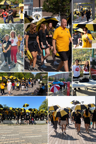 march of umbrellas