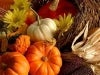 Arrangment of pumpkins and squash